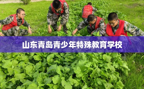 山东青岛青少年特殊教育学校