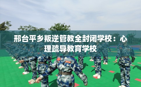 邢台平乡叛逆管教全封闭学校：心理疏导教育学校