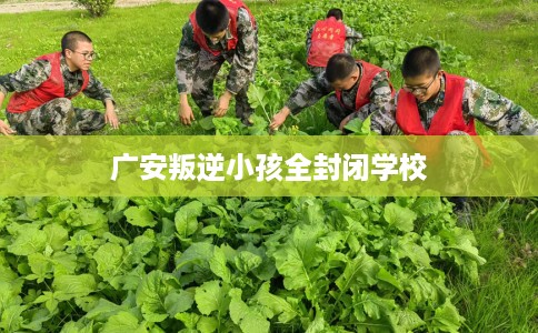 广安叛逆小孩全封闭学校