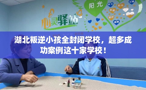湖北叛逆小孩全封闭学校，超多成功案例这十家学校！