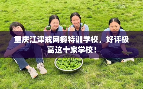 重庆江津戒网瘾特训学校，好评极高这十家学校！
