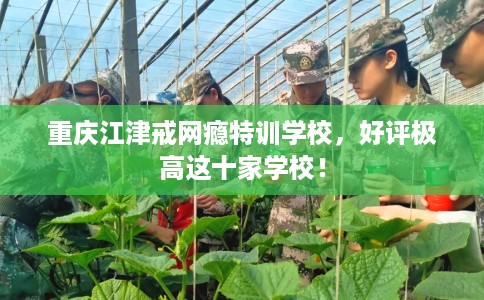 重庆江津戒网瘾特训学校，好评极高这十家学校！