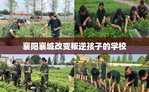 襄阳襄城改变叛逆孩子的学校