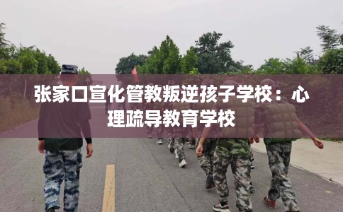 张家口宣化管教叛逆孩子学校：心理疏导教育学校