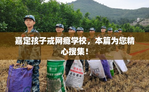 嘉定孩子戒网瘾学校，本篇为您精心搜集！