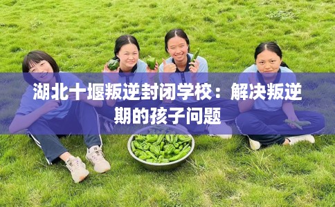湖北十堰叛逆封闭学校：解决叛逆期的孩子问题