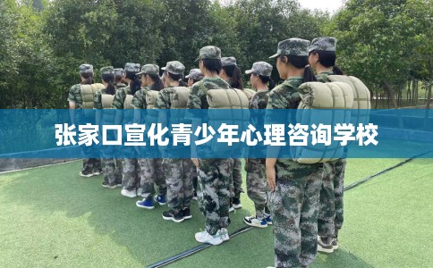 张家口宣化青少年心理咨询学校