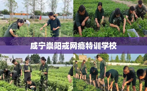 咸宁崇阳戒网瘾特训学校