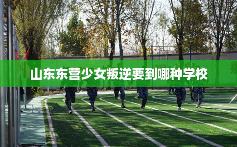 山东东营少女叛逆要到哪种学校