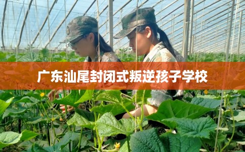 广东汕尾封闭式叛逆孩子学校