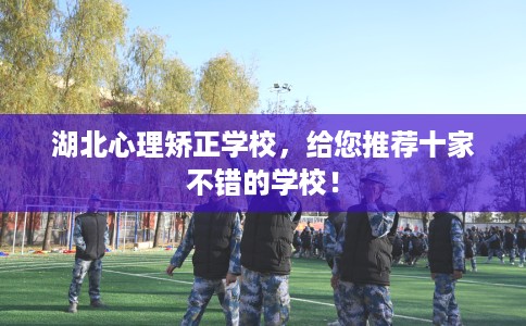 湖北心理矫正学校，给您推荐十家不错的学校！