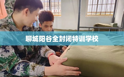 聊城阳谷全封闭特训学校