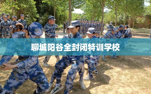 聊城阳谷全封闭特训学校