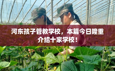 河东孩子管教学校，本篇今日隆重介绍十家学校！