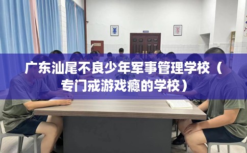 广东汕尾不良少年军事管理学校（专门戒游戏瘾的学校）
