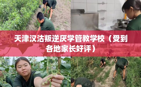 天津汉沽叛逆厌学管教学校（受到各地家长好评）