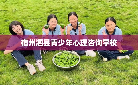 宿州泗县青少年心理咨询学校