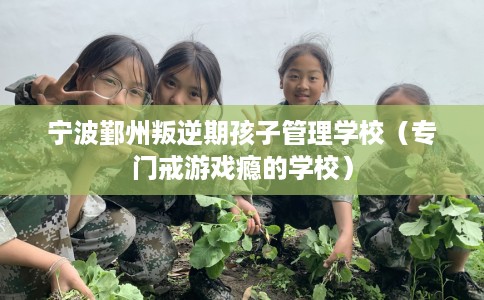 宁波鄞州叛逆期孩子管理学校（专门戒游戏瘾的学校）