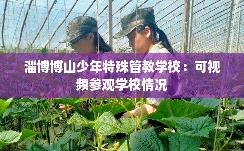 淄博博山少年特殊管教学校：可视频参观学校情况