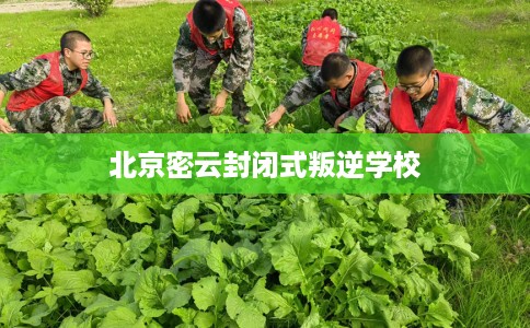 北京密云封闭式叛逆学校