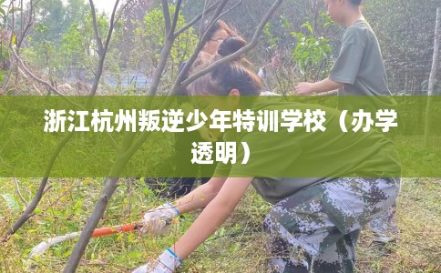 浙江杭州叛逆少年特训学校（办学透明）