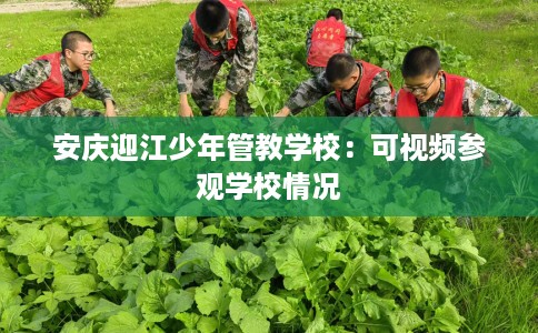 安庆迎江少年管教学校：可视频参观学校情况