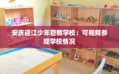 安庆迎江少年管教学校：可视频参观学校情况