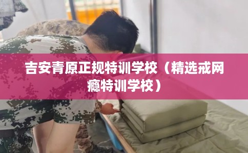 吉安青原正规特训学校（精选戒网瘾特训学校）