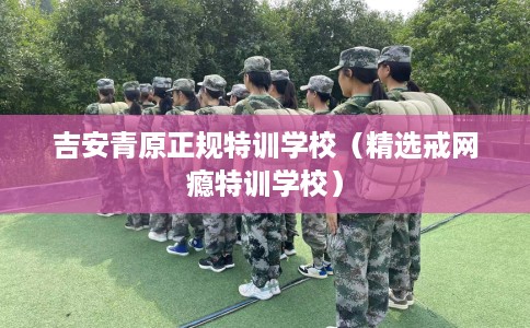 吉安青原正规特训学校（精选戒网瘾特训学校）