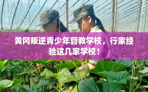 黄冈叛逆青少年管教学校,行家经验这几家学校! 黄冈叛逆青少年管教学校,行家经验这几家学校!