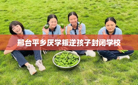 邢台平乡厌学叛逆孩子封闭学校