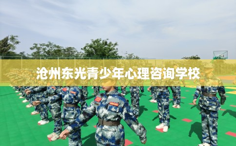 沧州东光青少年心理咨询学校