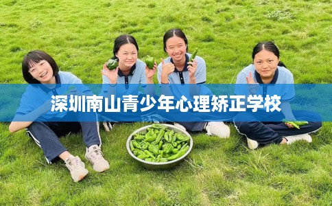 深圳南山青少年心理矫正学校