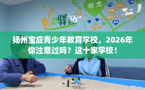 扬州宝应青少年教育学校，2026年你注意过吗？这十家学校！