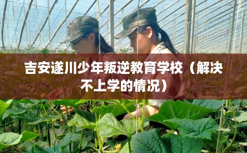 吉安遂川少年叛逆教育学校(解决不上学的情况) 吉安遂川少年叛逆教育学校(解决不上学的情况)