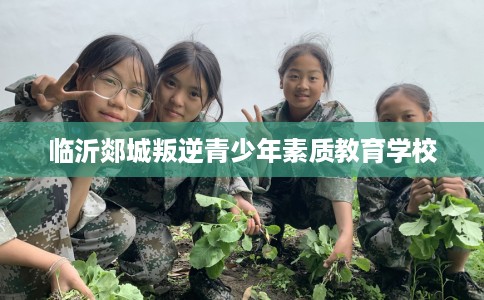 临沂郯城叛逆青少年素质教育学校