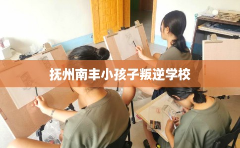 抚州南丰小孩子叛逆学校