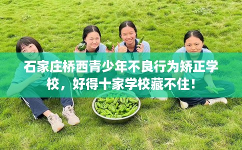 石家庄桥西青少年不良行为矫正学校，好得十家学校藏不住！