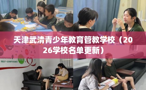 天津武清青少年教育管教学校（2026学校名单更新）