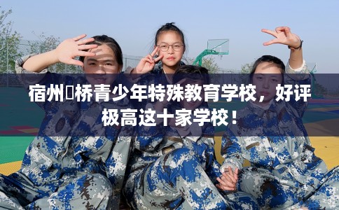 宿州埇桥青少年特殊教育学校，好评极高这十家学校！