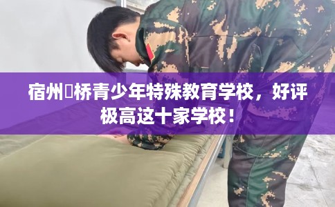 宿州埇桥青少年特殊教育学校，好评极高这十家学校！