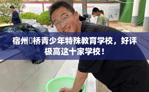 宿州埇桥青少年特殊教育学校，好评极高这十家学校！