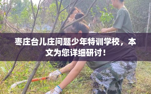 枣庄台儿庄问题少年特训学校，本文为您详细研讨！