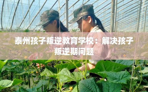 泰州孩子叛逆教育学校：解决孩子叛逆期问题