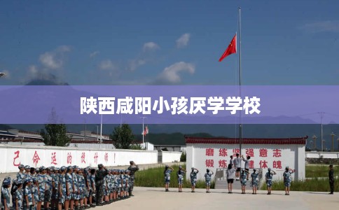陕西咸阳小孩厌学学校
