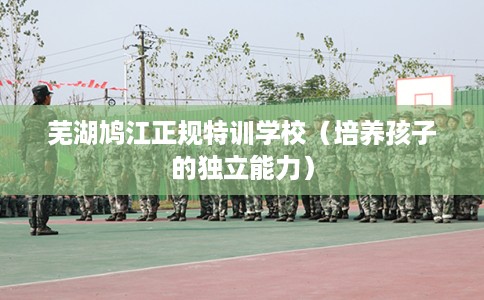 芜湖鸠江正规特训学校（培养孩子的独立能力）