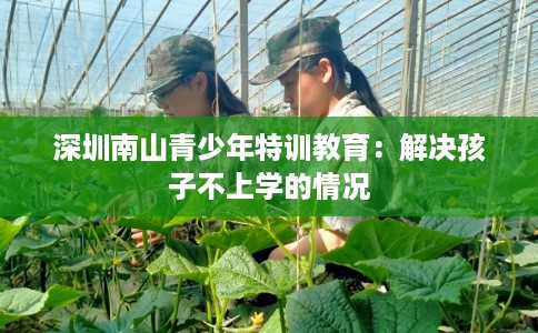 深圳南山青少年特训教育：解决孩子不上学的情况