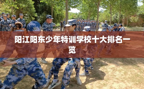 阳江阳东少年特训学校十大排名一览