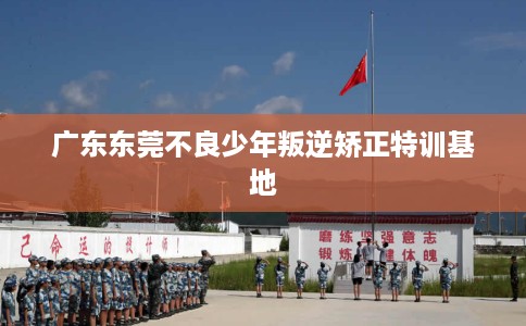 广东东莞不良少年叛逆矫正特训基地