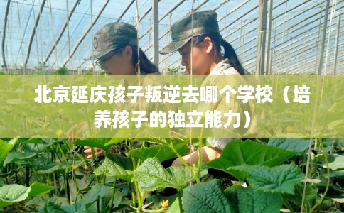 北京延庆孩子叛逆去哪个学校（培养孩子的独立能力）